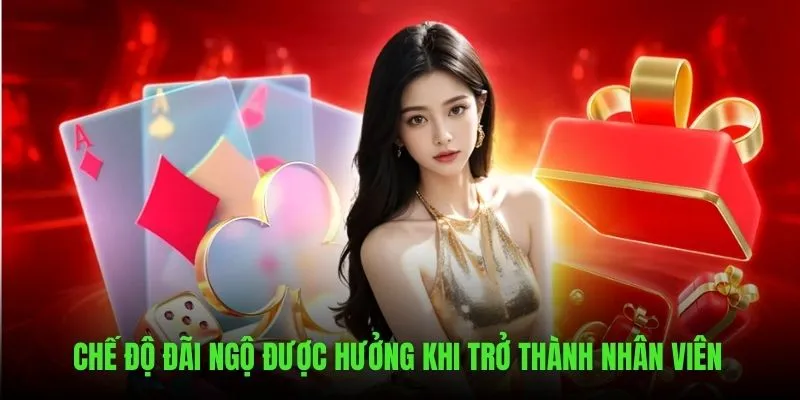 Những đãi ngộ được hưởng khi trở thành nhân viên